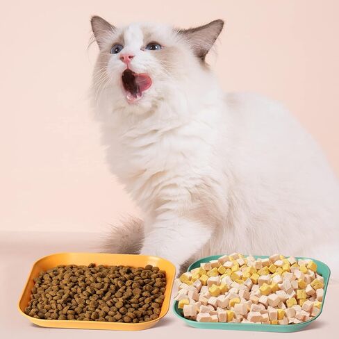16 Pieces Cat Food Bowl Set, 6 inch Whisker Fatigue Free Cat Bowls,Small Flat Cat Dish, Shallow Pet Feeding Dish or Plate for Cats and Small Dogs (8 Colours) in Saudi Arabia