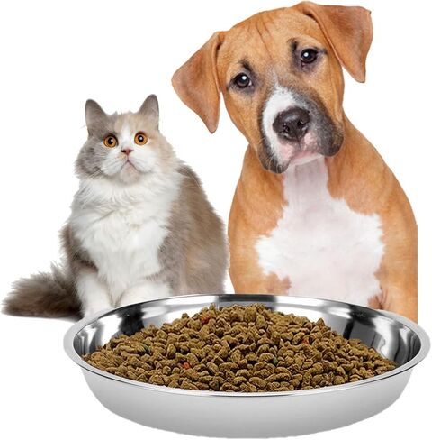 Stainless Steel Cat Feeder, 6.14 inch Wide Shallow Cat Bowls with Whisker Relief, Includes Non-Slip Placemat, Set of 8 for Small Dog & Cat in Saudi Arabia