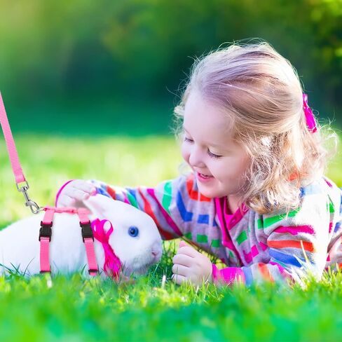 5 Pieces Adjustable Rabbit Harness Leash Bunny Harness for Pet Walk Running Jogging Leash Harness for Bunny Cat Puppy Kitten Ferret and Other Small Pet (Fresh Color) in Saudi Arabia