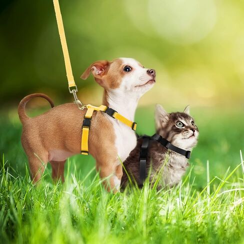 5 Pieces Adjustable Rabbit Harness Leash Bunny Harness for Pet Walk Running Jogging Leash Harness for Bunny Cat Puppy Kitten Ferret and Other Small Pet (Fresh Color) in Saudi Arabia