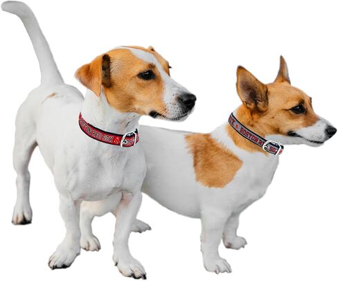 Pets First ST Louis Cardinals Reversible MLB Dog Collar,Large. Premium Home & Away Two-Sided Pet Collar Adjustable with Metal Buckle. Your Favorite Baseball Team, Dogs & Cats,Team Color,SLC-3280-LG in Saudi Arabia