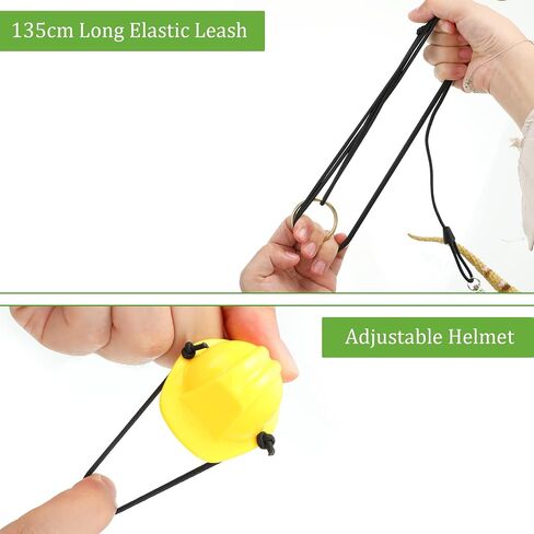 5 Pieces Bearded Dragon Accessories Toy Set Bearded Dragon Leashes and Harnesses S/M/L 3 Size Packed Lizard Harness Mini Scooter Lizard Helmet Hats Adjustable Bearded Dragon Leash (Black) in Saudi Arabia