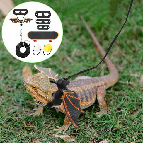 5 Pieces Bearded Dragon Accessories Toy Set Bearded Dragon Leashes and Harnesses S/M/L 3 Size Packed Lizard Harness Mini Scooter Lizard Helmet Hats Adjustable Bearded Dragon Leash (Black) in Saudi Arabia