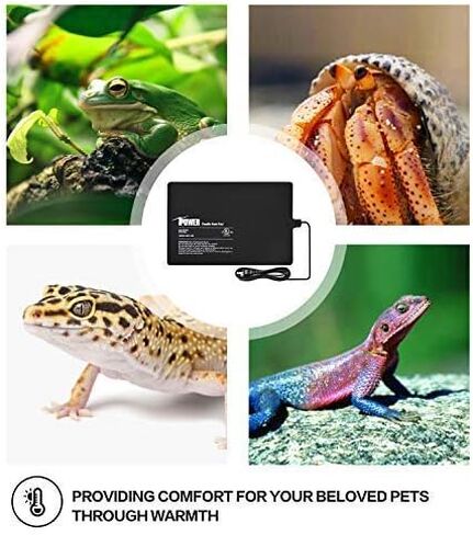 iPower 8 × 12 بوصة حصيرة الحرارة الزواحف تحت خزان سخان Terrarium وسادة التدفئة مثالية للعنكبوت الأفعى الرتيلاء الناسك سلحفاة السلطعون، أسود in Kuwait