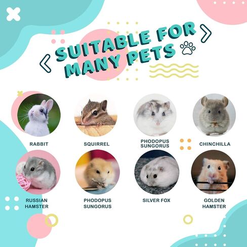 العاب عجلة تمرين للهامستر، مقاس كبير 9.4 انش صامتة للغاية مع ملحقات قفص قاعدة قابلة للتعديل، عجلة ركض هادئة للهامستر السوري القزم والجربوع والخنزير الغيني والحيوانات الصغيرة، اخضر in Kuwait