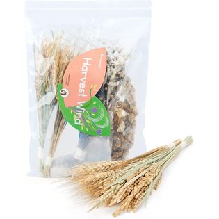 Niteangel product catalog
