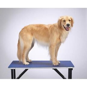 Top Performance PVC and Foam Pet Groomer’s Table Mat, 24x48 Inch, Black