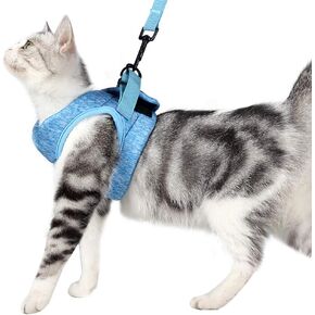 Heywean Cat Harness and Leash - Ultra Light Escape Proof Kitten Collar Cat Walking Jacket with Running Cushioning Soft and Comfortable Suitable for Puppies Rabbits (M, Turquoise)