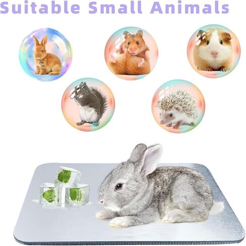 HZxoAxo 2PCS وسادة تبريد أرنب - 11.8 × 7.9 بوصة، بساط تبريد ذاتي مقاوم للعض على شكل أرنب، سرير جليدي للحيوانات الصغيرة، الهامستر، خنزير غينيا، شينشيلا، هريرة، جرو in Kuwait