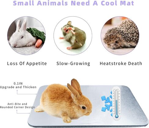 HZxoAxo 2PCS وسادة تبريد أرنب - 11.8 × 7.9 بوصة، بساط تبريد ذاتي مقاوم للعض على شكل أرنب، سرير جليدي للحيوانات الصغيرة، الهامستر، خنزير غينيا، شينشيلا، هريرة، جرو in Kuwait