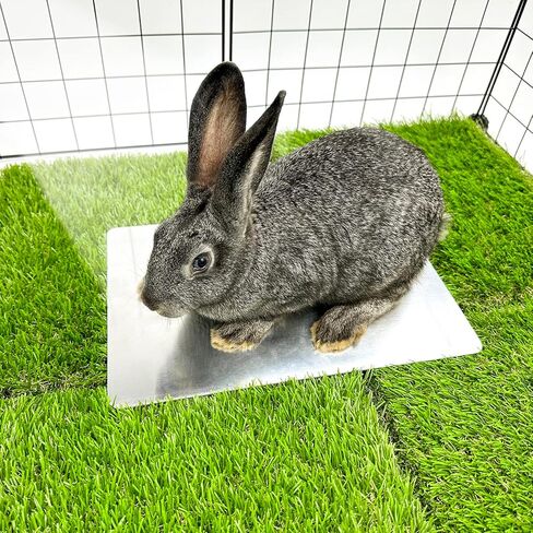 HZxoAxo 2PCS وسادة تبريد أرنب - 11.8 × 7.9 بوصة، بساط تبريد ذاتي مقاوم للعض على شكل أرنب، سرير جليدي للحيوانات الصغيرة، الهامستر، خنزير غينيا، شينشيلا، هريرة، جرو in Kuwait