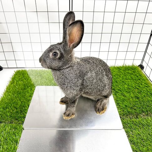 HZxoAxo 2PCS وسادة تبريد أرنب - 11.8 × 7.9 بوصة، بساط تبريد ذاتي مقاوم للعض على شكل أرنب، سرير جليدي للحيوانات الصغيرة، الهامستر، خنزير غينيا، شينشيلا، هريرة، جرو in Kuwait