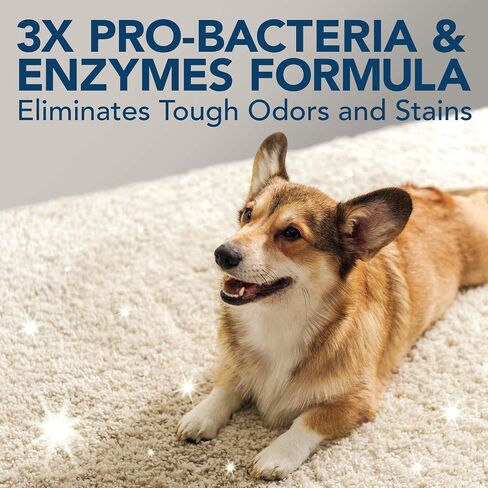 Simple Solution Extreme Pet Stain and Odor Remover | Enzymatic Cleaner with 3X Pro-Bacteria Cleaning Power | Spring Breeze, 1 Gallon in Kuwait