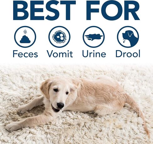 Simple Solution Extreme Pet Stain and Odor Remover | Enzymatic Cleaner with 3X Pro-Bacteria Cleaning Power | Spring Breeze, 1 Gallon in Kuwait