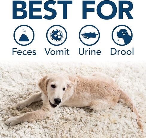 Simple Solution Extreme Pet Stain and Odor Remover | Enzymatic Cleaner with 3X Pro-Bacteria Cleaning Power | Spring Breeze, 1 Gallon in Kuwait