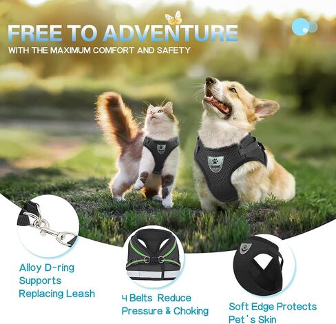 Supet Cat Harness and Leash Set - Soft Mesh Adjustable Cat Vest Harness with Reflective Strap for Walking Cat and Puppy Rabbit in Kuwait