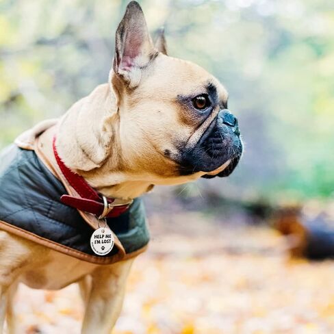 MYLUCKYTAG Stainless Steel QR Code Pet ID Tags Cat Tags - Pet Online Profile - Scan QR Receive Instant Pet Location Alert Email in Saudi Arabia