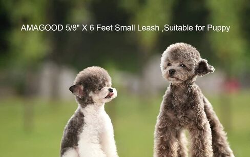 AMAGOOD 6 FT Puppy/Dog Leashes, Strong Traditional Style Leash with Easy to Use Collar Hook,Dog Lead Great for Small and Medium and Large Dog (5/8in x 6 ft, Purple) in Saudi Arabia
