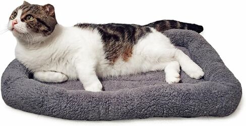 LESYPET Cat Bed for Indoor Cats, Soft Cat Cushion with Cat Pillow Around, Rectangle Kitten Pad Small Bed for Window Sill, 15'' x 10'' in Kuwait