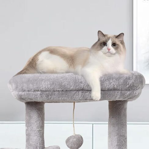 MIAO PAW 10Beige Cute Cat Tree Tower for Indoor Cats - Condo with Sisal Scratching Posts，Jump Platform Cat Furniture Activity Center Play House Bed Beige in Kuwait
