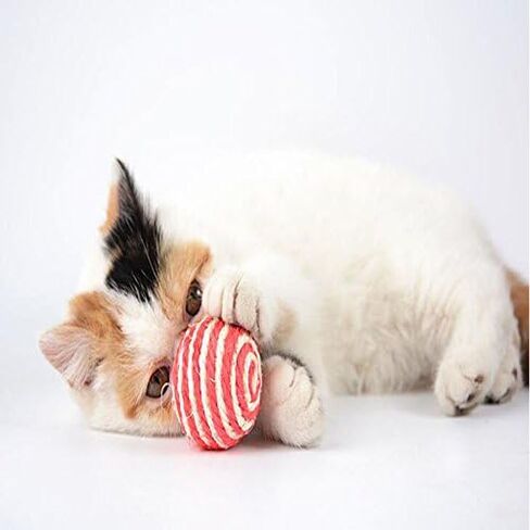 Setyuty Color Random delivery Pet Dog Cat Kitten Teaser Playing Chew Rattling Scratch Toy Sisal Rope Ball New in Saudi Arabia