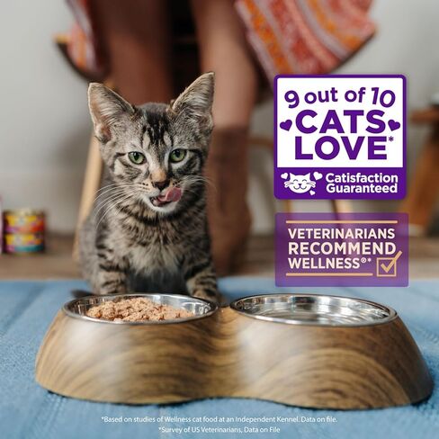 Wellness CORE Tiny Tasters Wet Cat Food, Complete & Balanced Natural Pet Food, Made with Real Meat, 1.75-Ounce Pouch, 12 Pack (Adult Cat, Minced Chicken in Gravy) in Saudi Arabia