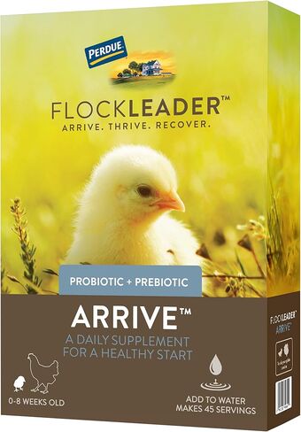 FlockLeader Recover 911، إلكتروليت بروبيوتيك أوريجانو، مكمل للإجهاد الشديد لقطيع الدجاج، 8 أونصة in Kuwait