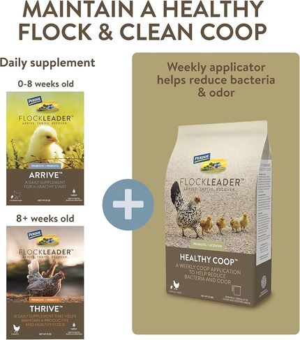 FlockLeader Recover 911، إلكتروليت بروبيوتيك أوريجانو، مكمل للإجهاد الشديد لقطيع الدجاج، 8 أونصة in Kuwait