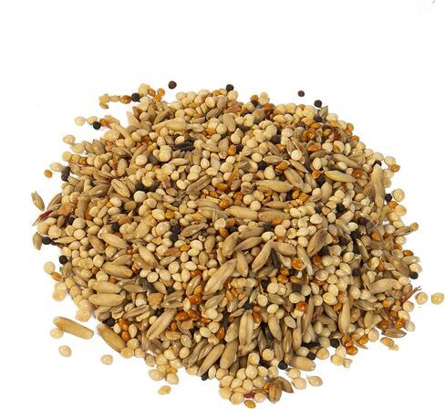 Wild Harvest Healthy Benefits Molting Supplement for All Birds 7.5 oz in Saudi Arabia