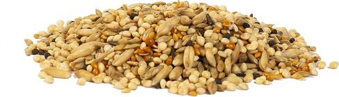 Wild Harvest Healthy Benefits Molting Supplement for All Birds 7.5 oz in Saudi Arabia