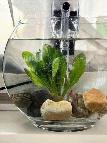 EmmaWu 50 GPH Mini Aquarium Hang-on Filter Ultra-Quiet Betta Fish Turtle Tank Filter in Kuwait