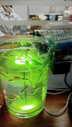 EmmaWu 50 GPH Mini Aquarium Hang-on Filter Ultra-Quiet Betta Fish Turtle Tank Filter in Kuwait