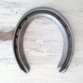 Steel Horseshoes Set for Horses, Crafts, Decorations and Backyard Games - Lite Rim Size 0 - Sand Blasted 40 Shoes in Saudi Arabia