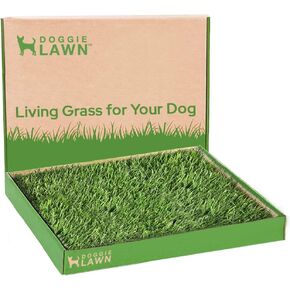 DoggieLawn Real Grass Puppy Pee Pads- 24 x 20 Inches - Perfect Indoor Litter Box for Dogs - No Mess, Easy-to-Use - Potty Training for Pets - Eco-Friendly Disposable Bathroom with Real Living Grass