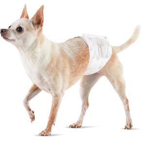 Amazon Basics Male Dog Wrap, Disposable Male Dog Diapers, Small, Pack of 30, White