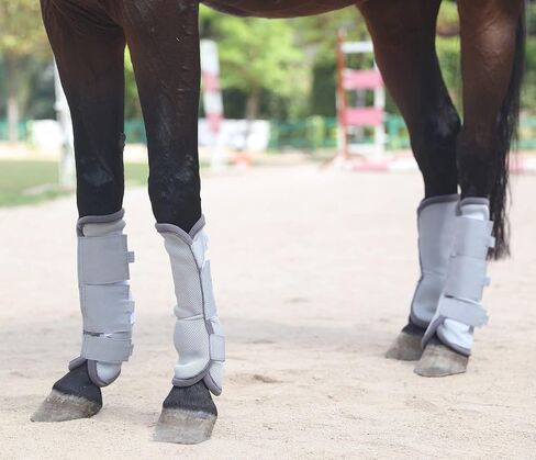 LEAFOREST Horse Fly Boots Set of 4 Non Slip Breathable Mesh Leg Protection in Kuwait