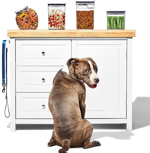 حاوية OXO Good Grips Pet POP - 6.0 Qt/5.7 L مع نصف مغرفة | مثالية لما يصل إلى 6.5 رطل من طعام الكلاب أو 4.5 رطل من طعام القطط | حاوية تخزين طعام الكلاب والقطط محكمة الغلق | خالية من البيسفينول A، شفافة in Kuwait