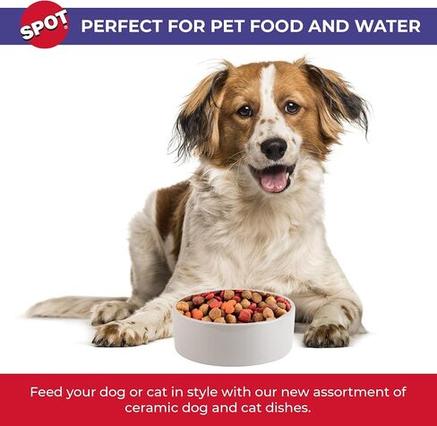 Ethical 4.75-Inch Stoneware Crock Dog Dish (6115) in Saudi Arabia