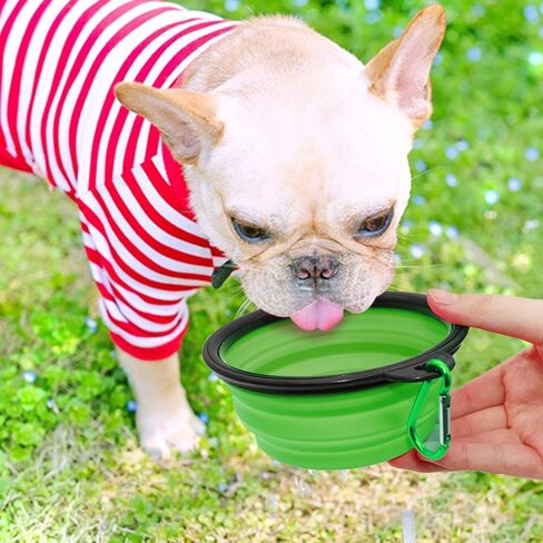 Dog Bowl Pet Collapsible Bowls, 2 Pack for Cats Dogs, Portable Pet Feeding Watering Dish for Walking Parking Traveling with 2 Carabiners (Small, Blue+Green) in Saudi Arabia