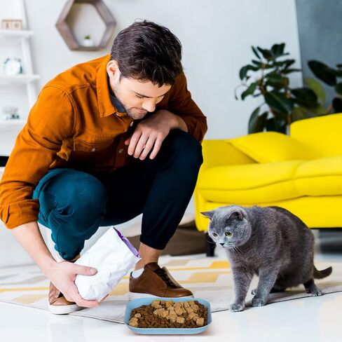 Cat Food Bowl Set, 6 inch Wide Shallow Cat Bowl for Relief Whisker Fatigue,Small Flat Cat Dish, Shallow Pet Feeding Dish or Plate for Cats and Small Dogs (4Pcs) in Saudi Arabia