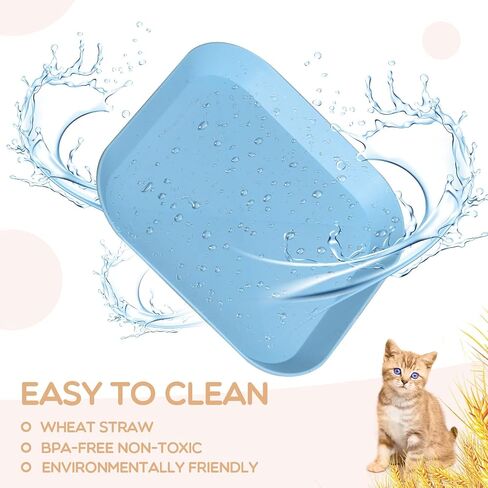 Cat Food Bowl Set, 6 inch Wide Shallow Cat Bowl for Relief Whisker Fatigue,Small Flat Cat Dish, Shallow Pet Feeding Dish or Plate for Cats and Small Dogs (4Pcs) in Saudi Arabia