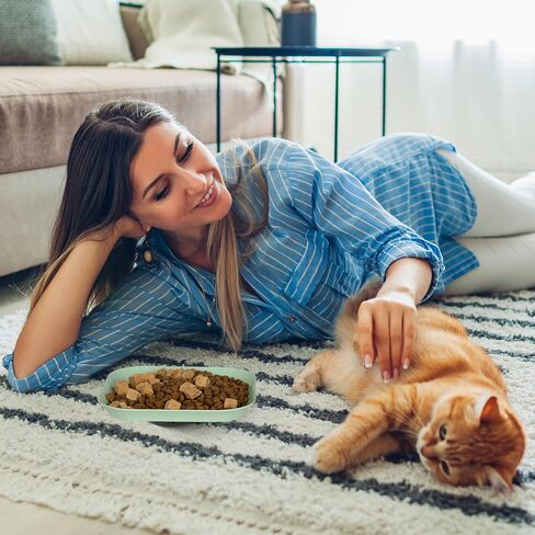 Cat Food Bowl Set, 6 inch Wide Shallow Cat Bowl for Relief Whisker Fatigue,Small Flat Cat Dish, Shallow Pet Feeding Dish or Plate for Cats and Small Dogs (4Pcs) in Saudi Arabia
