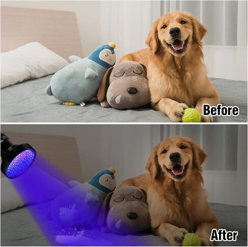 مصباح يدوي للأشعة فوق البنفسجية من Whaply Black Light، 51 مصباح LED Blacklight كاشف بول للحيوانات الأليفة 395 نانومتر مع 3 بطاريات AA لبول القطط والبقع وحشرات السرير (أسود) in Kuwait