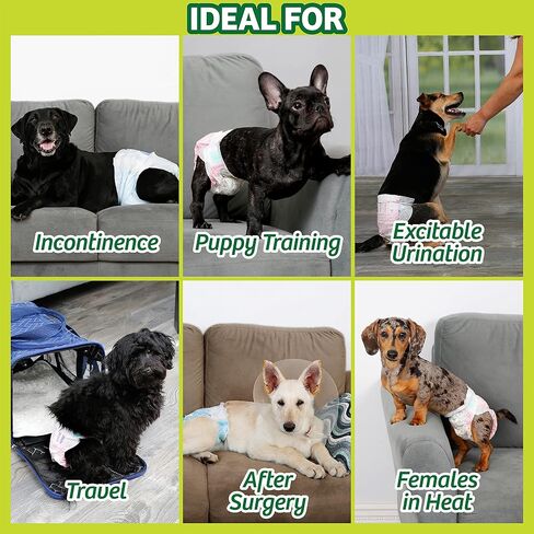Hartz Disposable Dog Diapers, Size S 36 count, Comfortable & Secure Fit, Easy to Put On in Saudi Arabia