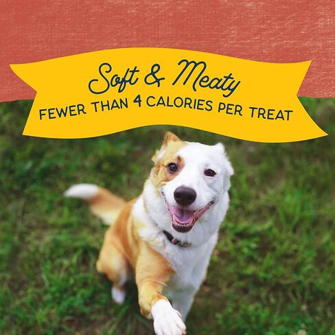 Natural Balance Limited Ingredient Mini-Rewards Chicken Grain-Free, Training Treats for Dogs | 5.3-oz. Canister in Saudi Arabia