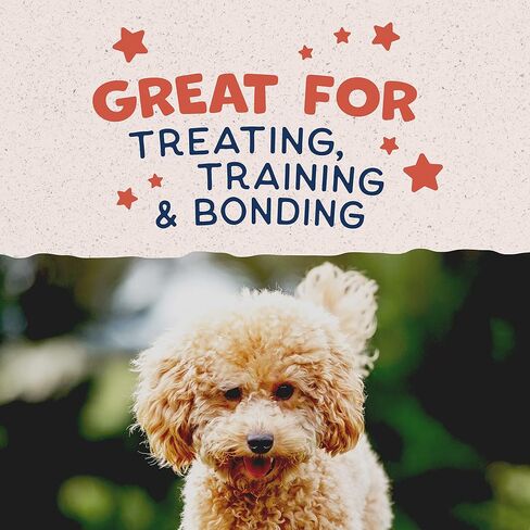 Natural Balance Limited Ingredient Mini-Rewards Chicken Grain-Free, Training Treats for Dogs | 5.3-oz. Canister in Saudi Arabia