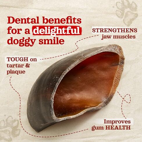 حوافر بقرة المزرعة الطبيعية (6 عبوات)، خالية من الرائحة، مصدرها طبيعي بالكامل من أطعمة حافر البقر المرتفعة في المزرعة، بديل رائع لعصي الفتوة أو الجلود الخام، مضغ الأسنان للسلالات الصغيرة والمتوسطة والكبيرة in Kuwait