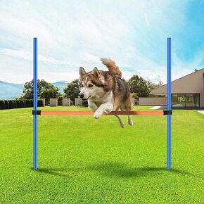 PAWISE Dog Training Exercise Equipment,Dog Agility Training Equipment,Dog Jump Hurdles Training Equipment,Playground Equipment Outdoor in Saudi Arabia