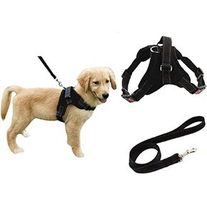 Heavy Duty Pet Dog Safety Harness Leash Lead Set No-Pull Padded Dog Leash Collar Chest Harness with Handle for Small Medium Large Dogs Training Walking (X-Small, Black Harness + Black Leash)