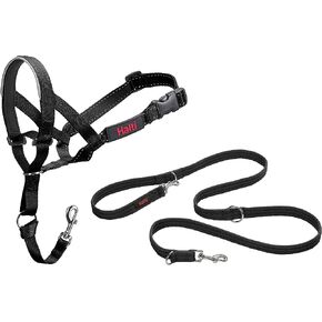 Halti Headcollar (Size 4, Black) & Training Leash (Size L, Black) Bundle in Saudi Arabia